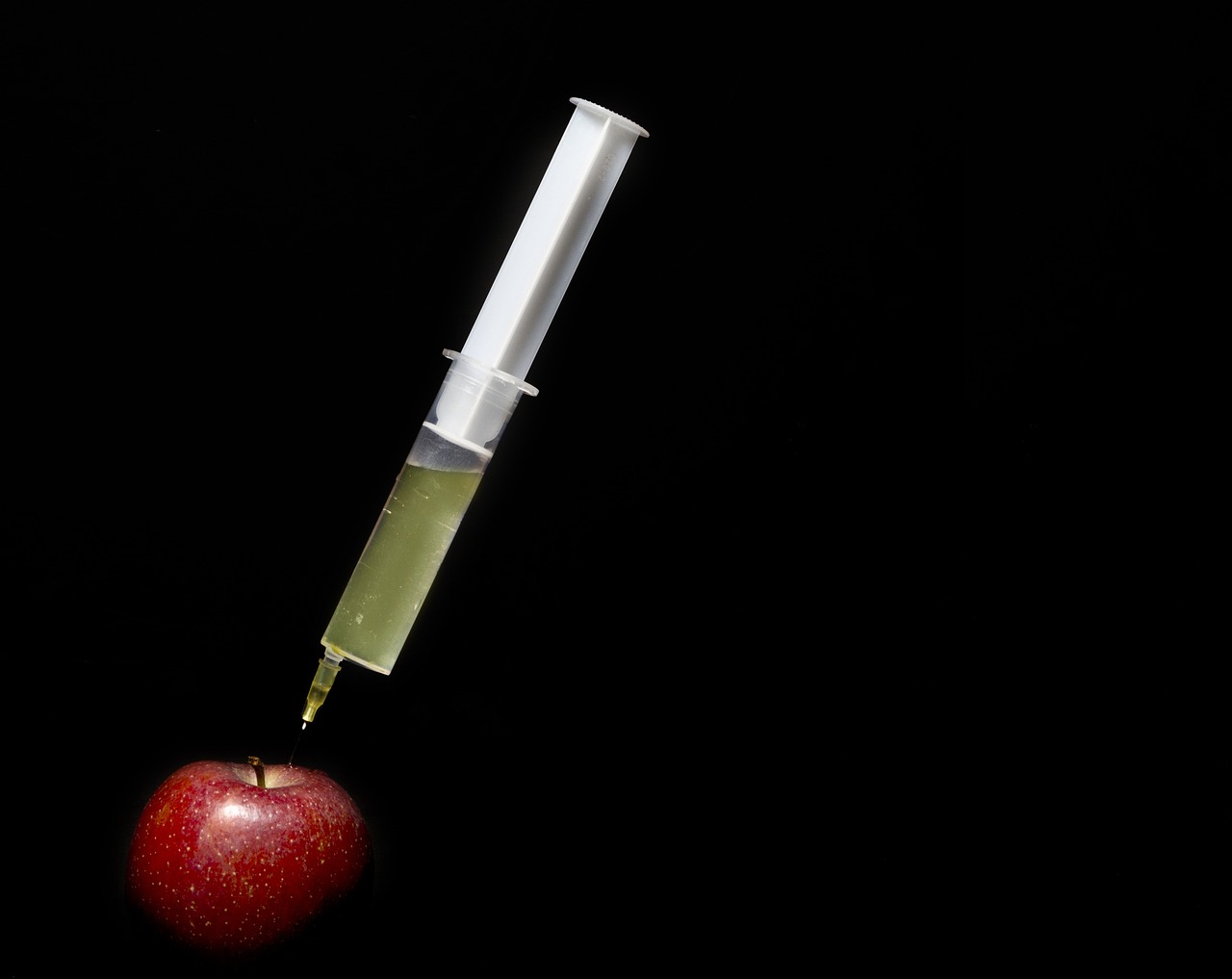 The Ethics and Philosophy of Genetic Engineering